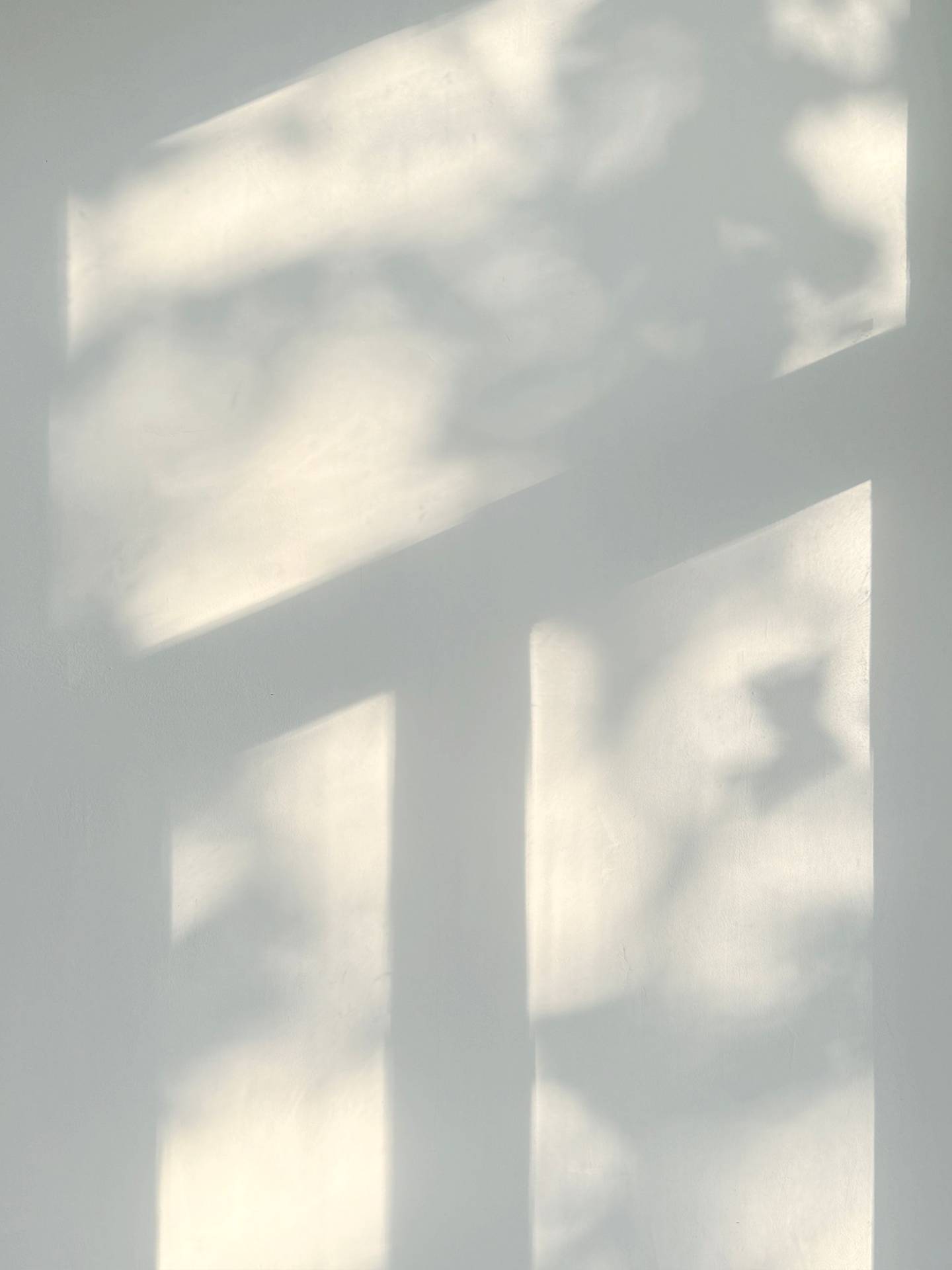 Luz suave y sombras sobre una pared blanca.
