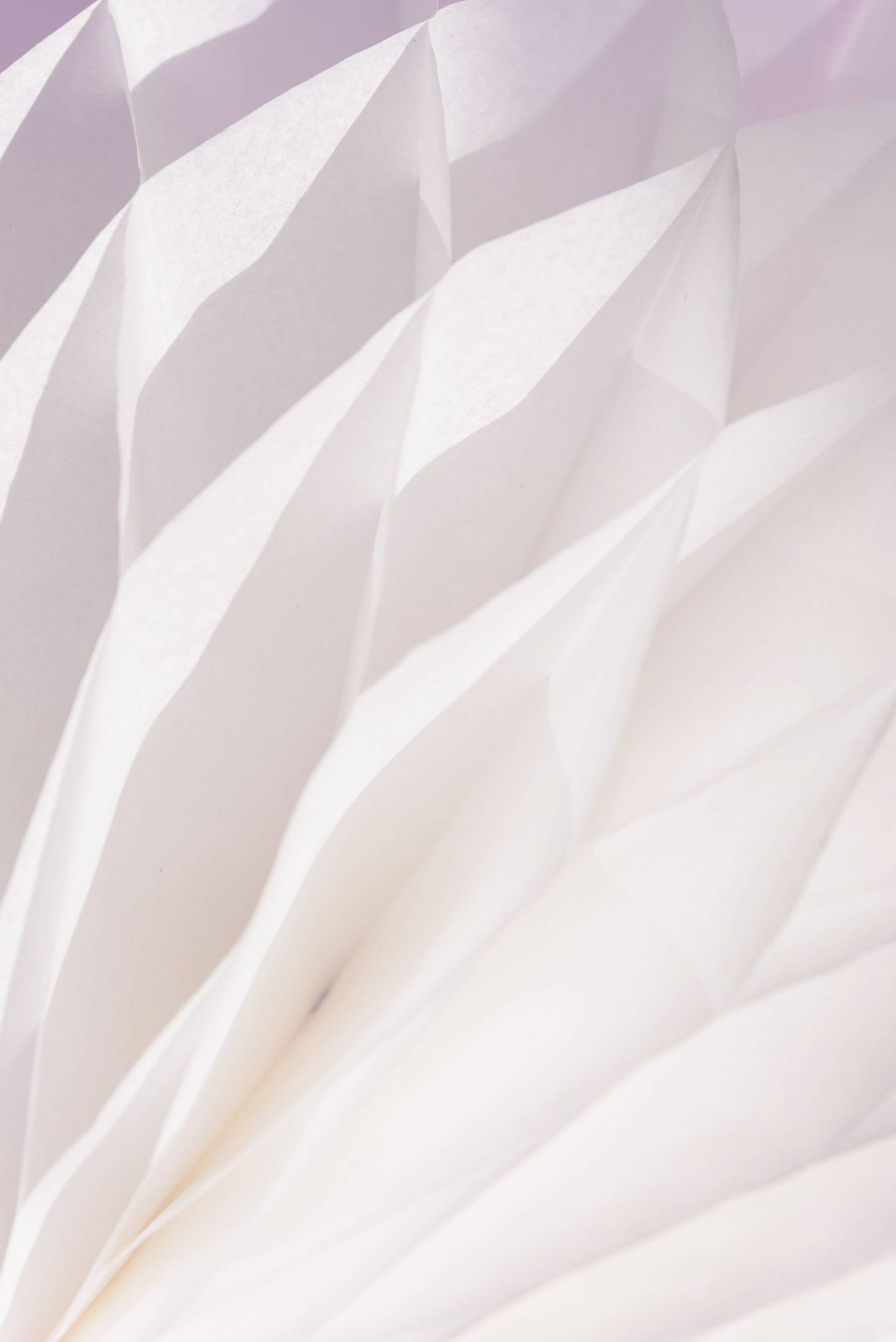 Pliegues blancos de papel, luz y volumen.